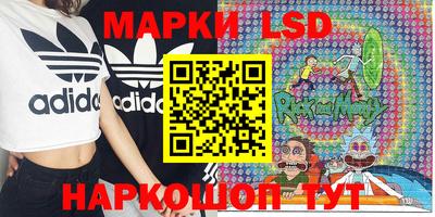 молекула духа Славгород