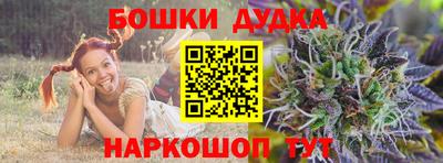молекула духа Славгород